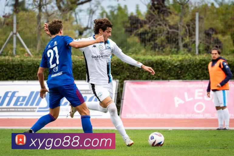 杏运体育官网APP 封面图